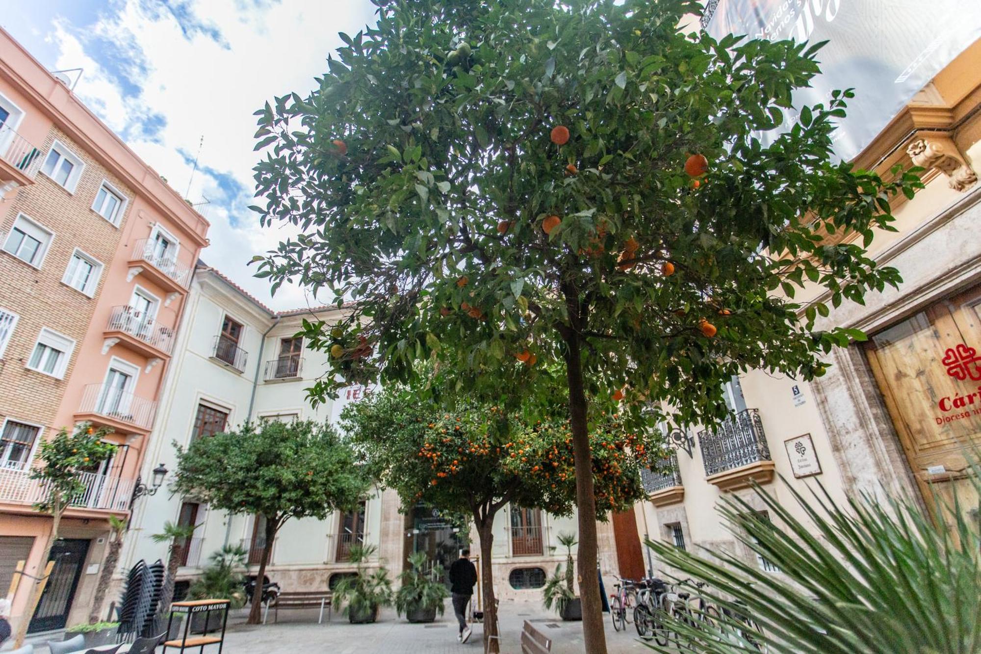 Vlc - Tranquilo Apartamento En Plaza Cisneros فالنسيا المظهر الخارجي الصورة